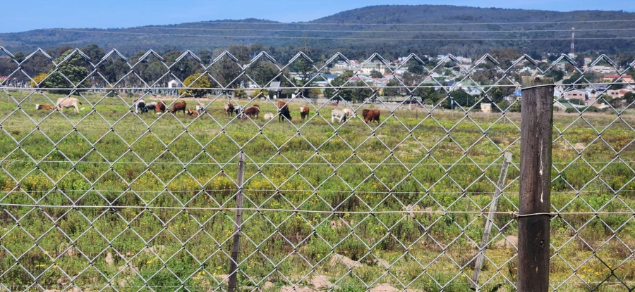 3 Bedroom Property for Sale in Albertinia Western Cape